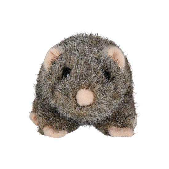 Harry Potter - Scabbers Plush on sale