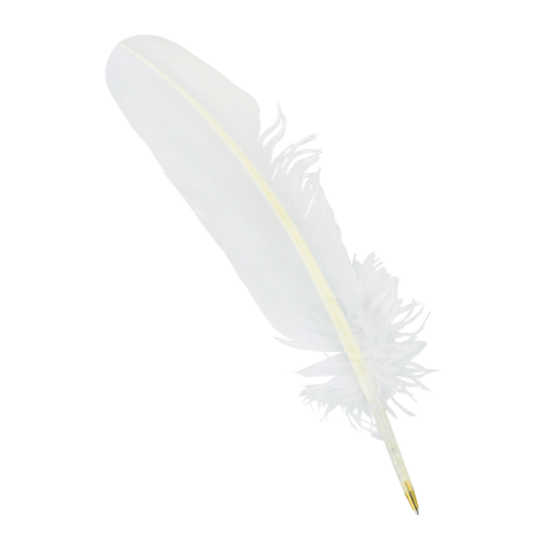 Harry Potter - Feather Quill Pen on sale