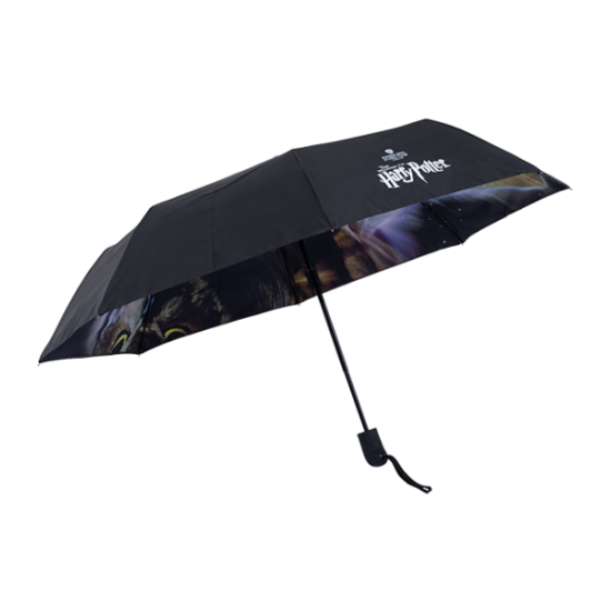 Harry Potter - Philosopher's Stone Umbrella on sale