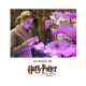 Harry Potter - Love Potion Pendant with Display on sale