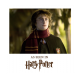 Harry Potter - Gryffindor Scarf on sale